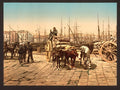 The wharf Naples Vintage A4 Photo Print