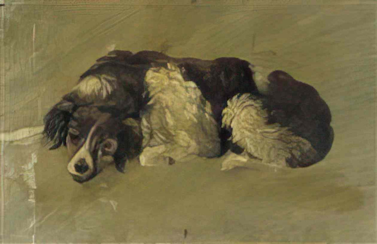 Theo van Doesburg a dog 1899 Art A4 Photo Print