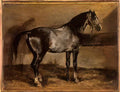 Theodore Gericault gray horse rack Art A4 Photo Print