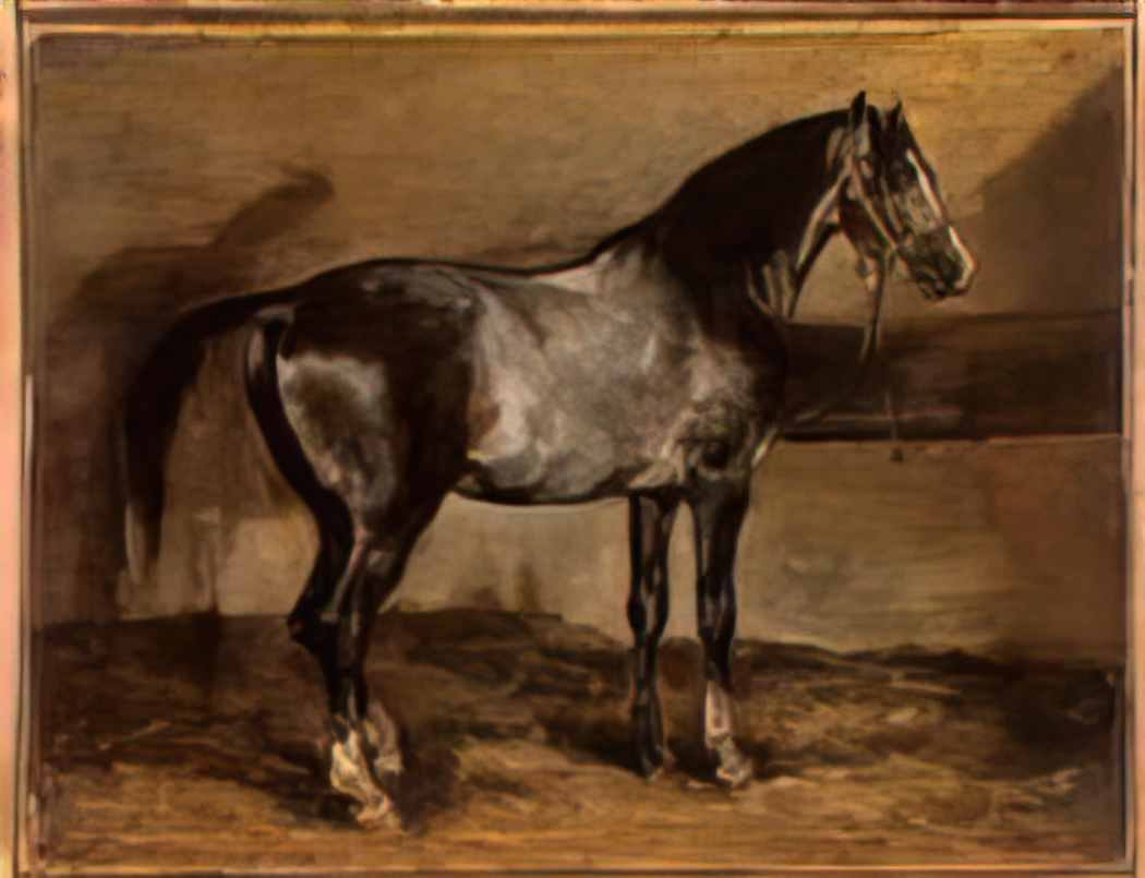 Theodore Gericault gray horse rack Art A4 Photo Print