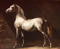Theodore Gericault study of a dapple grey 1824 Art A4 Photo Print