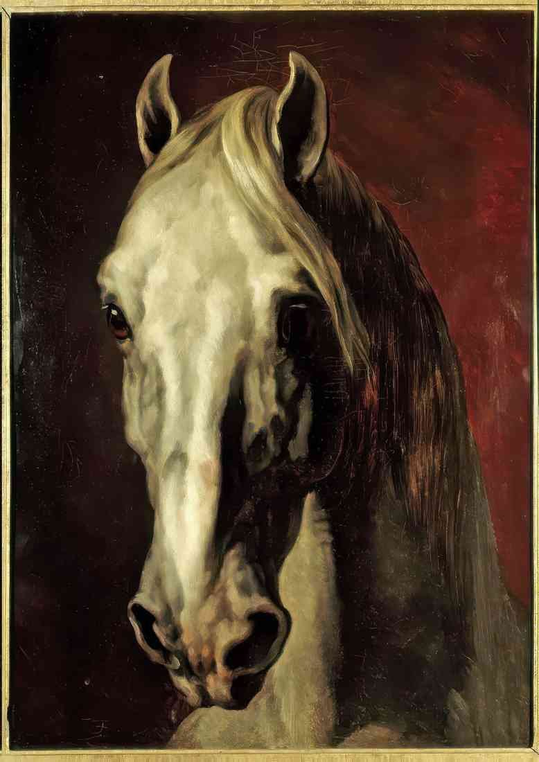 Theodore Gericault the head of white horse 1 CROP A4 Photo Print