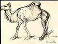 Theophile Steinlen camel Art A4 Photo Print