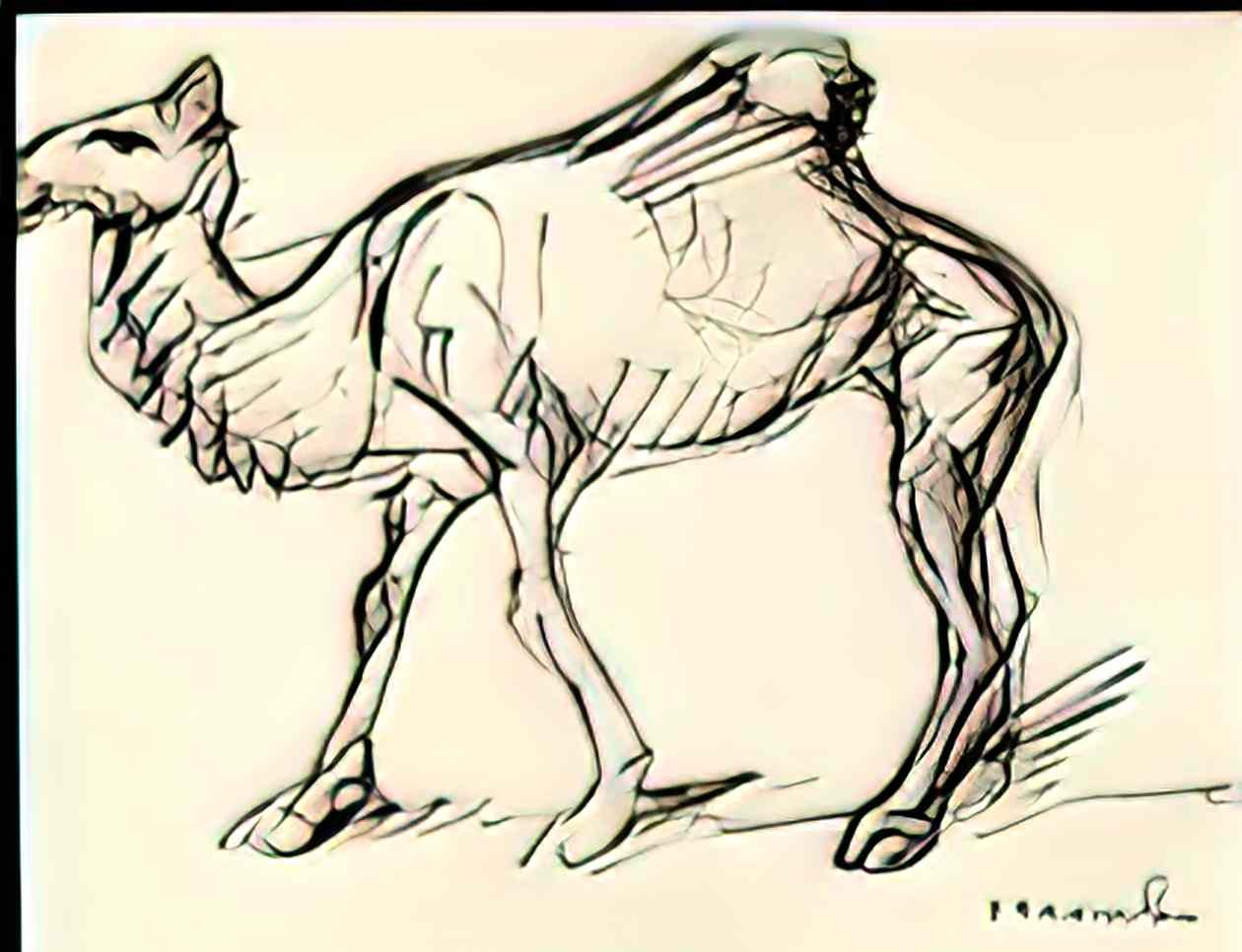 Theophile Steinlen camel Art A4 Photo Print