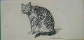 Theophile Steinlen cat binoche Art A4 Photo Print