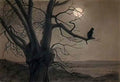 Theophile Steinlen cat in the moonlight Art A4 Photo Print
