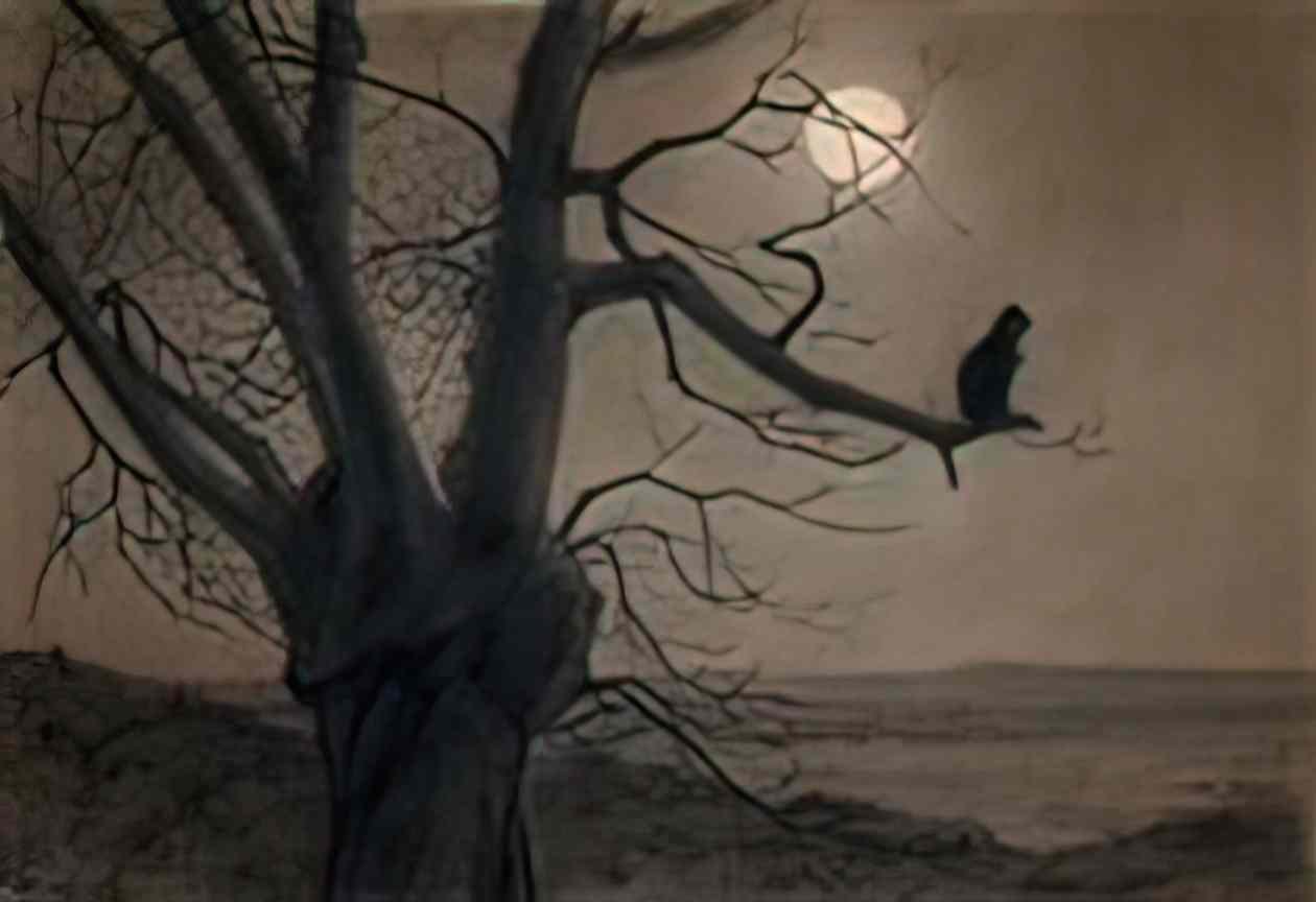 Theophile Steinlen cat in the moonlight Art A4 Photo Print