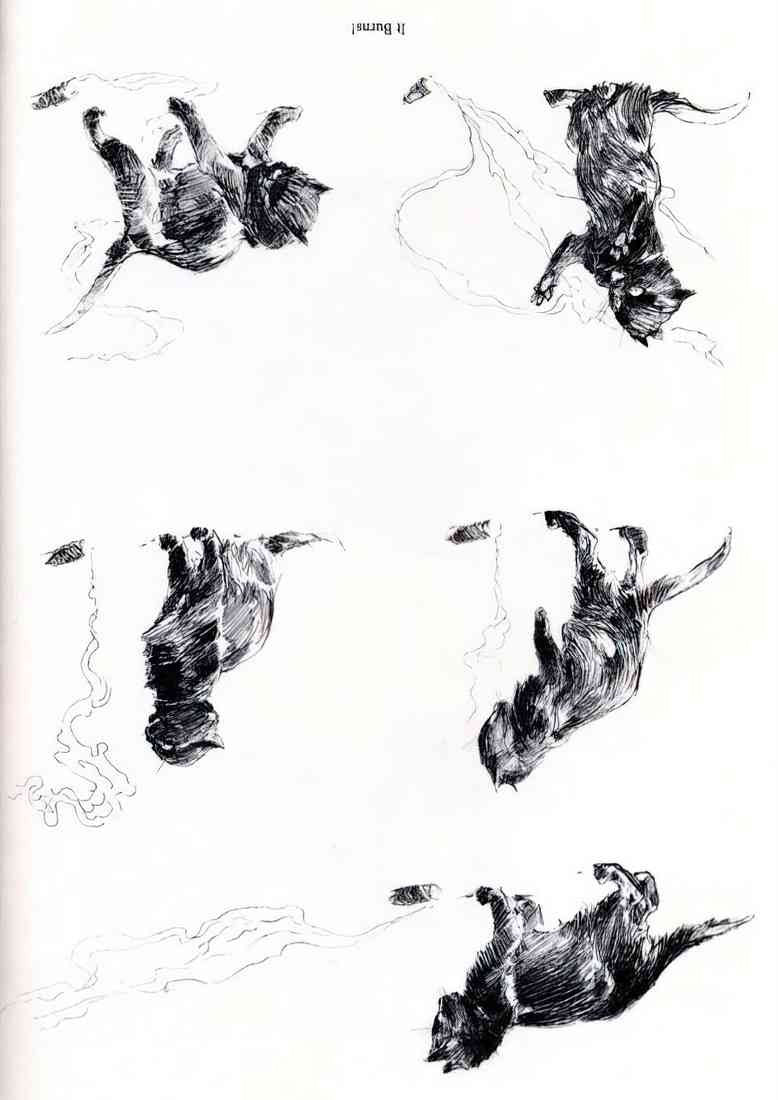 Theophile Steinlen cat it burns 1898 1 A4 Photo Print