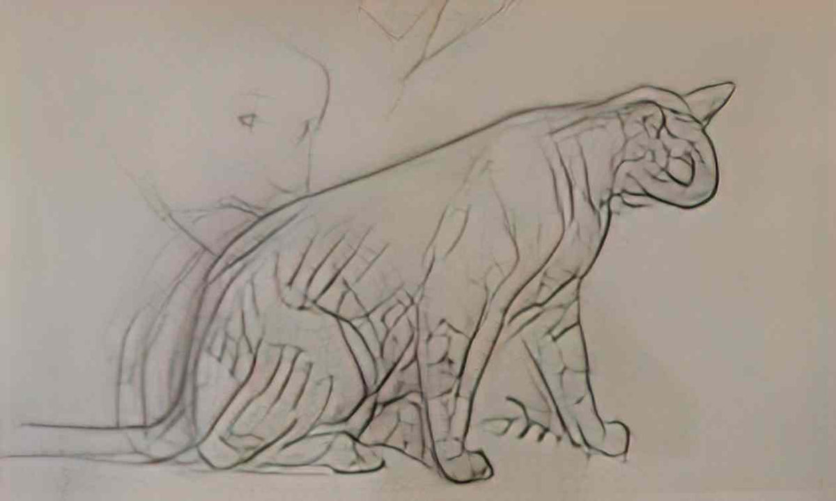 Theophile Steinlen cat sketch Art A4 Photo Print