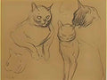 Theophile Steinlen cat sketches Art A4 Photo Print