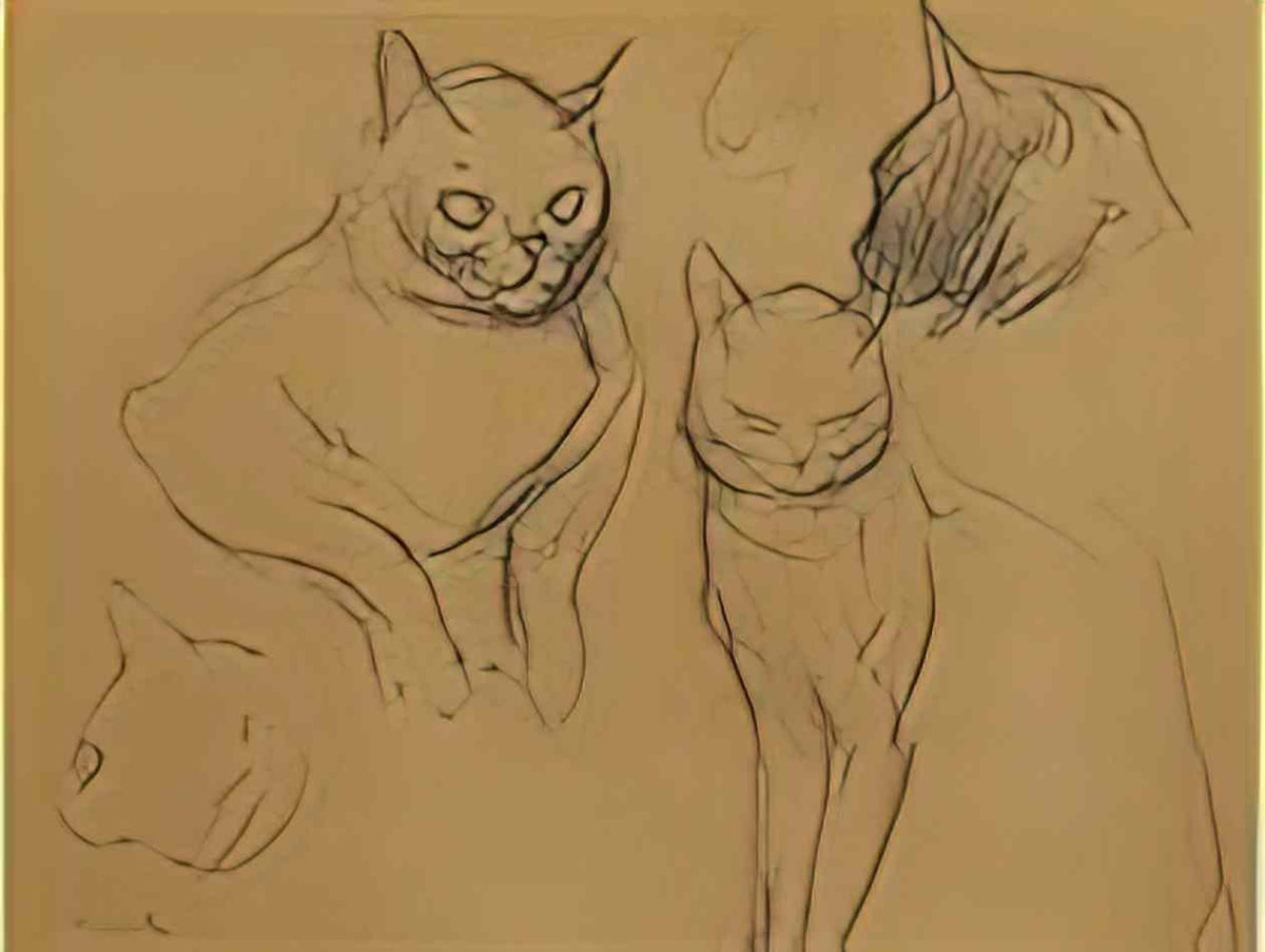 Theophile Steinlen cat sketches Art A4 Photo Print