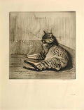Theophile Steinlen cat sleeping in a corner chat dormant dans un coin Art A4 Photo Print