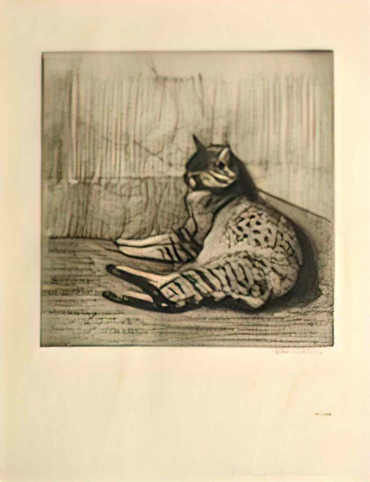 Theophile Steinlen cat sleeping in a corner chat dormant dans un coin Art A4 Photo Print