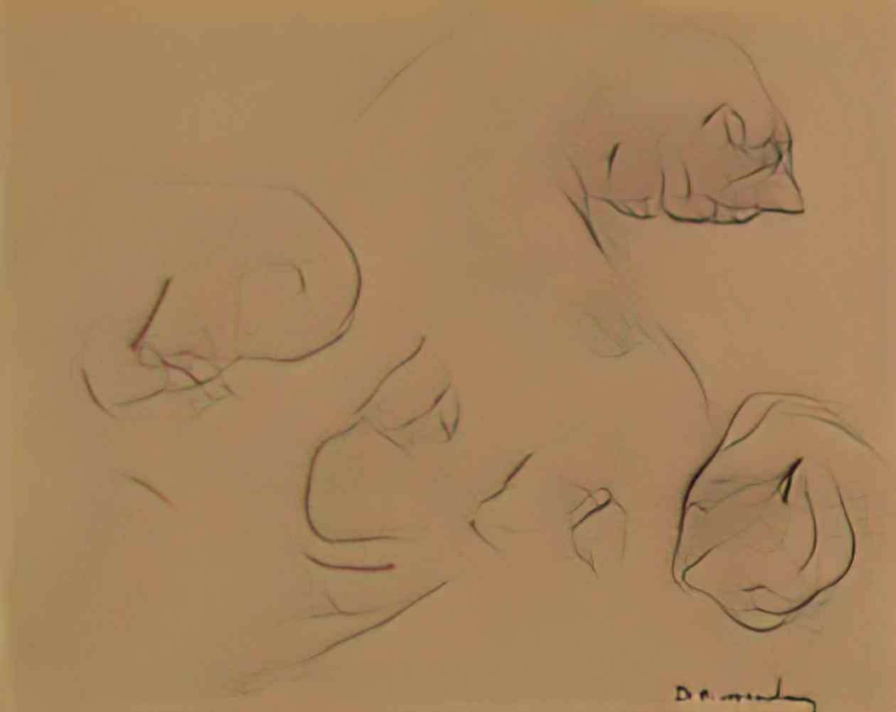 Theophile Steinlen cat study 1900 Art A4 Photo Print
