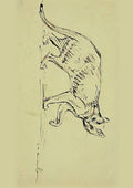 Theophile Steinlen cat walking A4 Photo Print