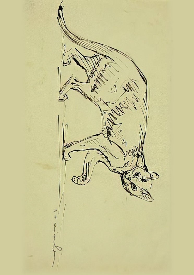 Theophile Steinlen cat walking A4 Photo Print