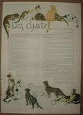 Theophile Steinlen cats 1 Art A4 Photo Print