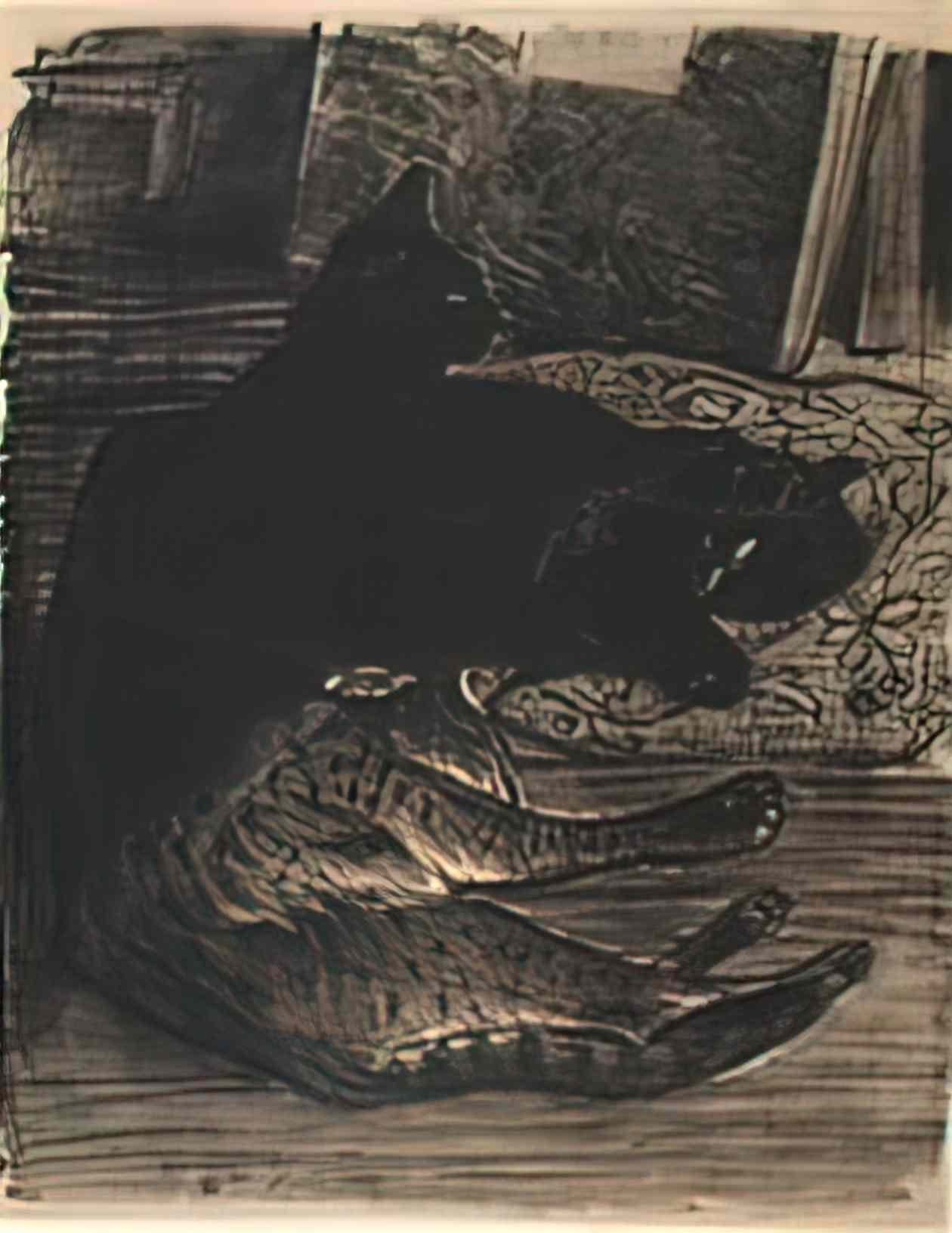 Theophile Steinlen cats 1896 Art A4 Photo Print