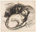 Theophile Steinlen cats Art A4 Photo Print