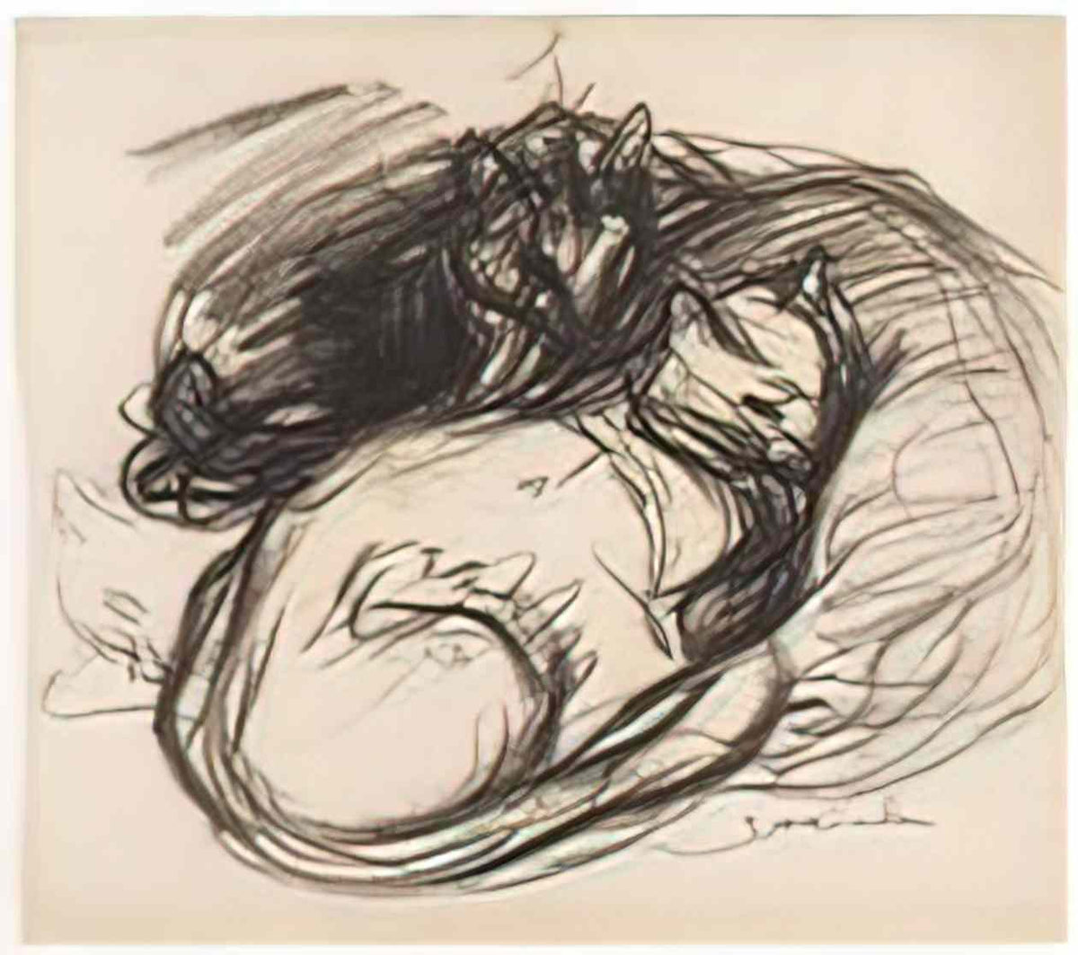 Theophile Steinlen cats Art A4 Photo Print