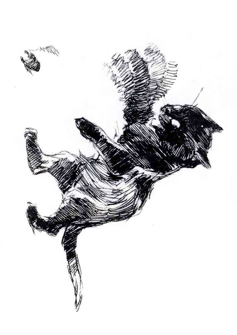 Theophile Steinlen cats paw in blurring motion A4 Photo Print