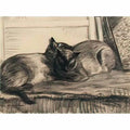 Theophile Steinlen cats sleeping in the studio 1922 Art A4 Photo Print