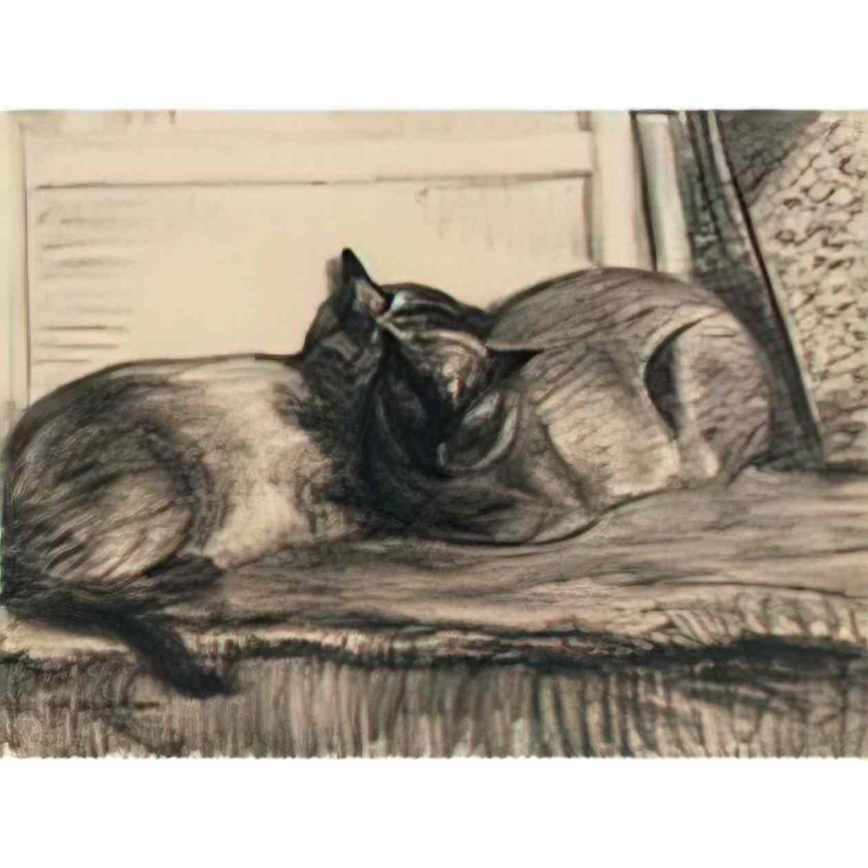 Theophile Steinlen cats sleeping in the studio 1922 Art A4 Photo Print