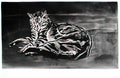 Theophile Steinlen chat on the floor chat sur le plancher 1902 Art A4 Photo Print