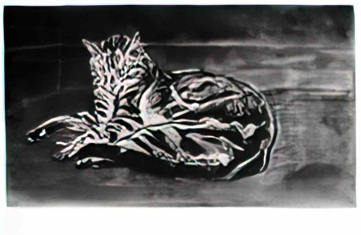 Theophile Steinlen chat on the floor chat sur le plancher 1902 Art A4 Photo Print