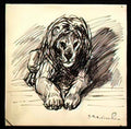 Theophile Steinlen lion 3 Art A4 Photo Print