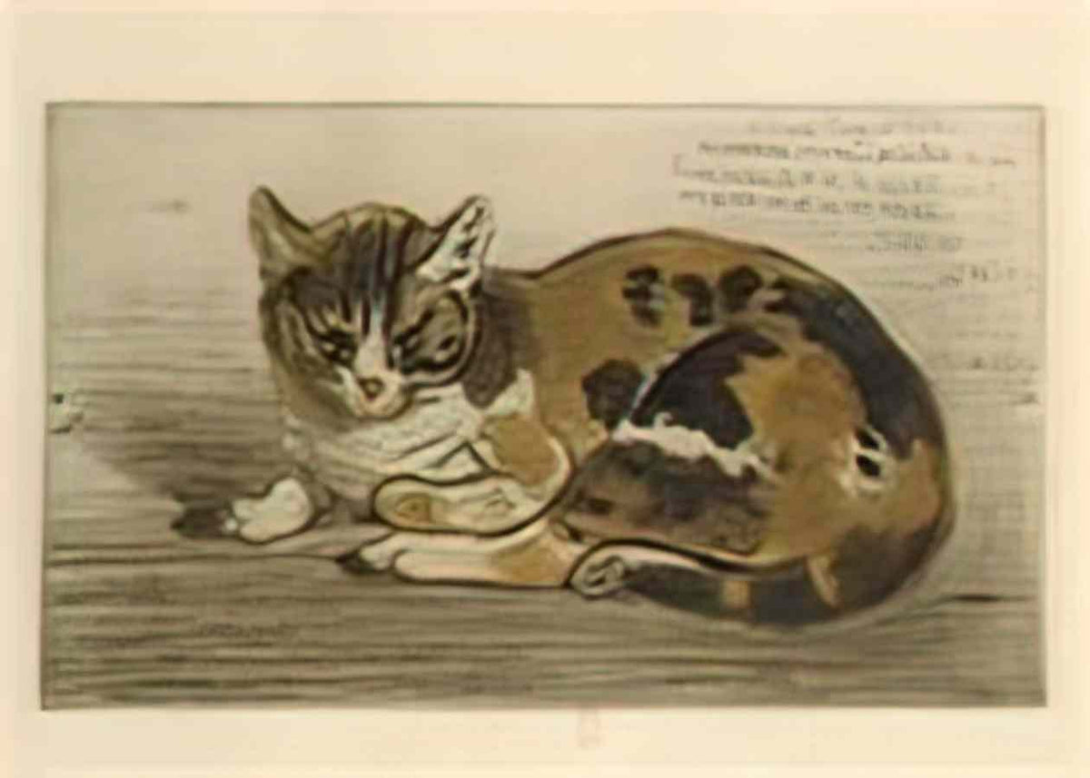 Theophile Steinlen little cat 1898 Art A4 Photo Print