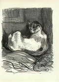 Theophile Steinlen mother cat 1 Art A4 Photo Print