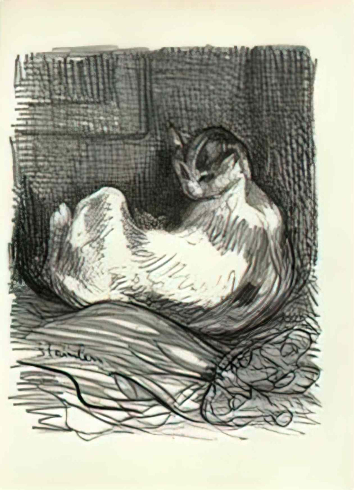 Theophile Steinlen mother cat 1 Art A4 Photo Print