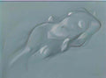 Theophile Steinlen reclining female nude Art A4 Photo Print