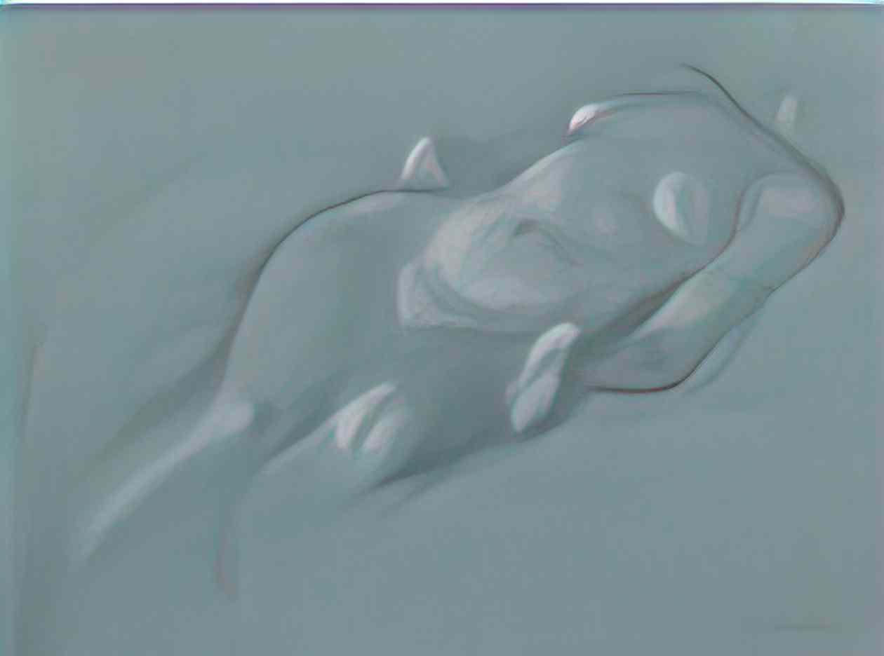 Theophile Steinlen reclining female nude Art A4 Photo Print