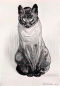 Theophile Steinlen seated siamese cat Art A4 Photo Print