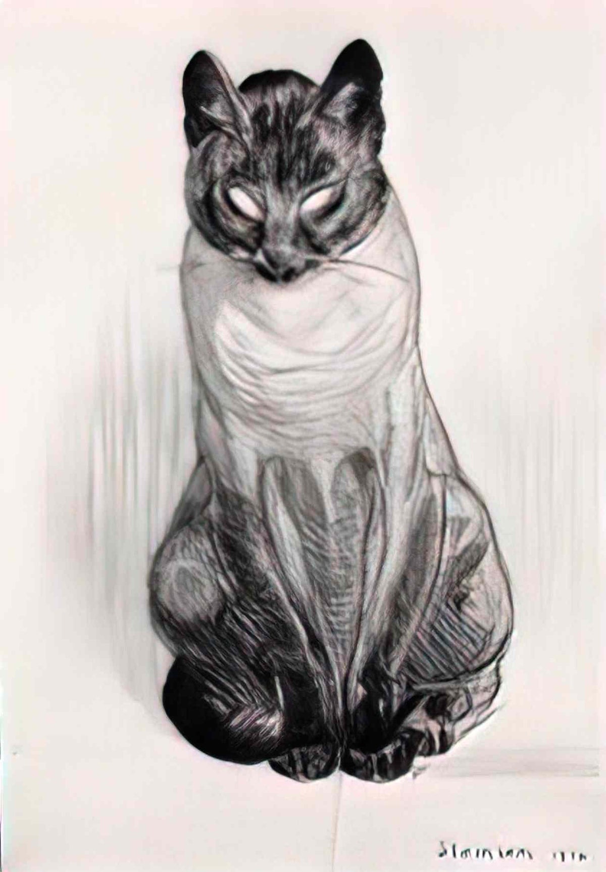Theophile Steinlen seated siamese cat Art A4 Photo Print