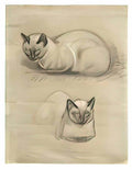 Theophile Steinlen siamese cats Art A4 Photo Print