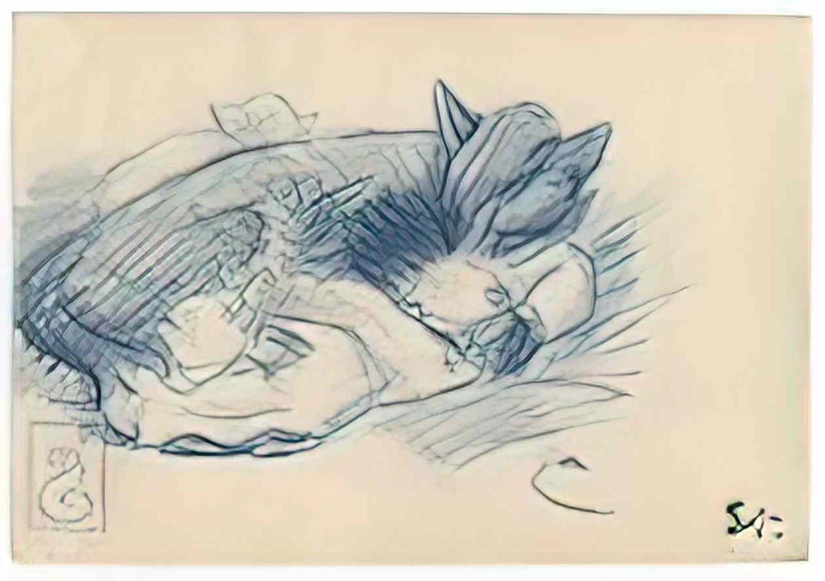 Theophile Steinlen sleeping cats Art A4 Photo Print