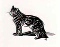 Theophile Steinlen smiling cat Art A4 Photo Print