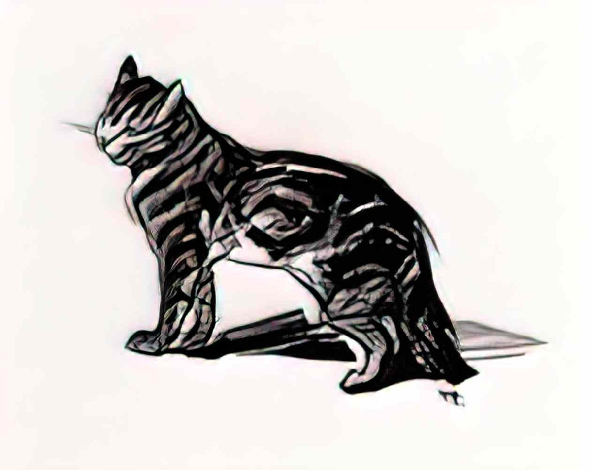 Theophile Steinlen smiling cat Art A4 Photo Print