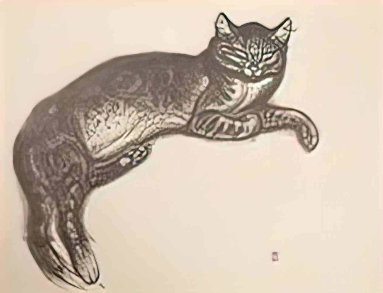 Theophile Steinlen study for l hiver chat sur un coussin Art A4 Photo Print