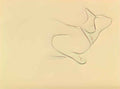 Theophile Steinlen study of a cat Art A4 Photo Print