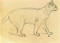 Theophile Steinlen study of a cat walking Art A4 Photo Print