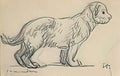 Theophile Steinlen study of a puppy 4050 Art A4 Photo Print