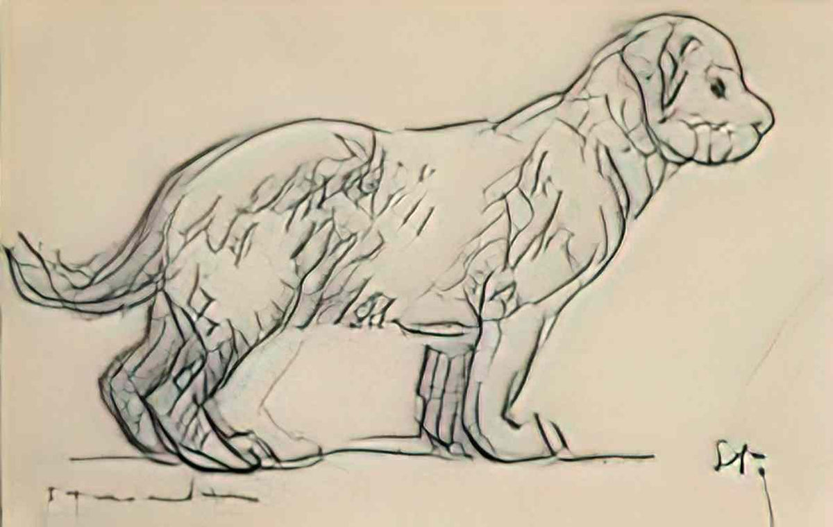 Theophile Steinlen study of a puppy 4050 Art A4 Photo Print