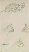 Theophile Steinlen study of cats 1 Art A4 Photo Print