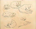 Theophile Steinlen study of cats 3 Art A4 Photo Print