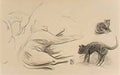 Theophile Steinlen study of cats Art A4 Photo Print