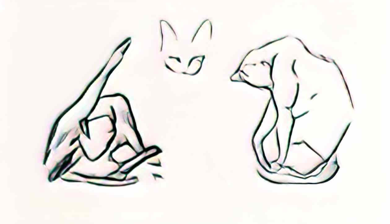 Theophile Steinlen three cats study Art A4 Photo Print